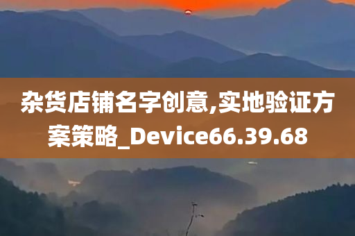 杂货店铺名字创意,实地验证方案策略_Device66.39.68