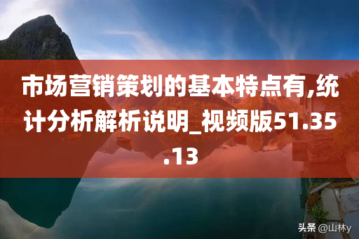 市场营销策划的基本特点有,统计分析解析说明_视频版51.35.13