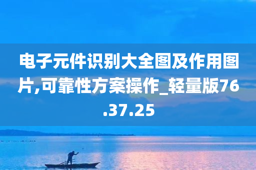 电子元件识别大全图及作用图片,可靠性方案操作_轻量版76.37.25