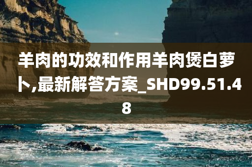 羊肉的功效和作用羊肉煲白萝卜,最新解答方案_SHD99.51.48