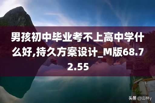 男孩初中毕业考不上高中学什么好,持久方案设计_M版68.72.55