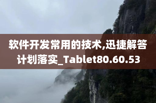 软件开发常用的技术,迅捷解答计划落实_Tablet80.60.53