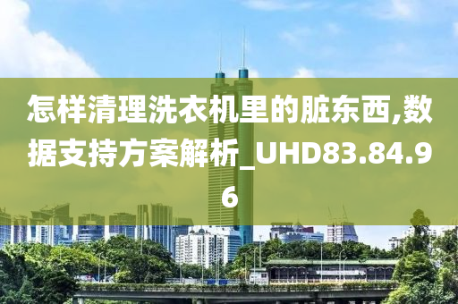 怎样清理洗衣机里的脏东西,数据支持方案解析_UHD83.84.96