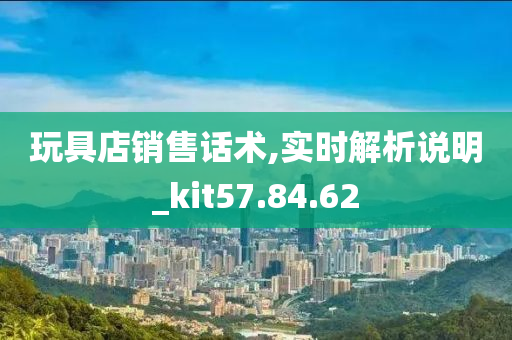 玩具店销售话术,实时解析说明_kit57.84.62