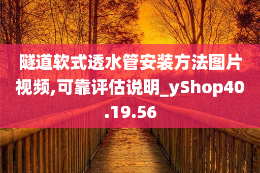 隧道软式透水管安装方法图片视频,可靠评估说明_yShop40.19.56