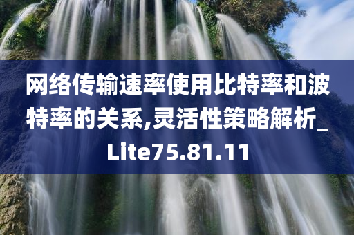 网络传输速率使用比特率和波特率的关系,灵活性策略解析_Lite75.81.11