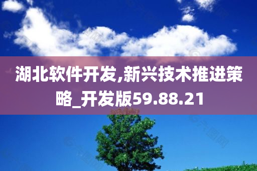 湖北软件开发,新兴技术推进策略_开发版59.88.21