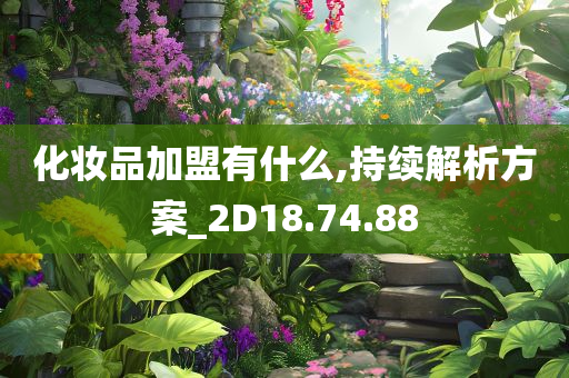 化妆品加盟有什么,持续解析方案_2D18.74.88