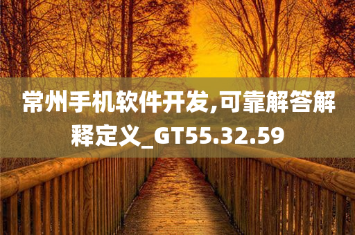 常州手机软件开发,可靠解答解释定义_GT55.32.59