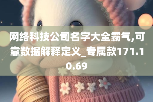 网络科技公司名字大全霸气,可靠数据解释定义_专属款171.10.69