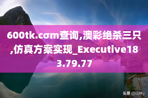 600tk.cσm查询,澳彩绝杀三只,仿真方案实现_Executive183.79.77