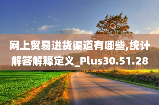 网上贸易进货渠道有哪些,统计解答解释定义_Plus30.51.28