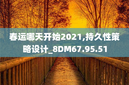 春运哪天开始2021,持久性策略设计_8DM67.95.51