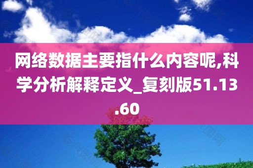 网络数据主要指什么内容呢,科学分析解释定义_复刻版51.13.60