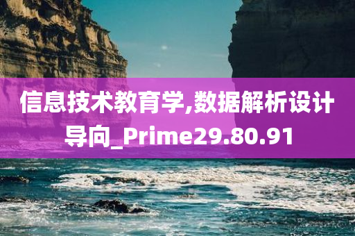 信息技术教育学,数据解析设计导向_Prime29.80.91