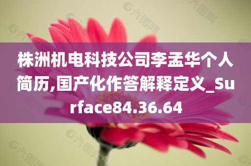 株洲机电科技公司李孟华个人简历,国产化作答解释定义_Surface84.36.64