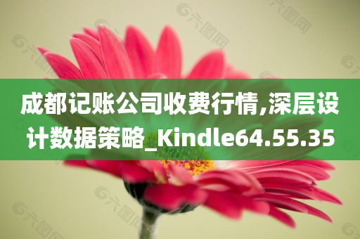 成都记账公司收费行情,深层设计数据策略_Kindle64.55.35