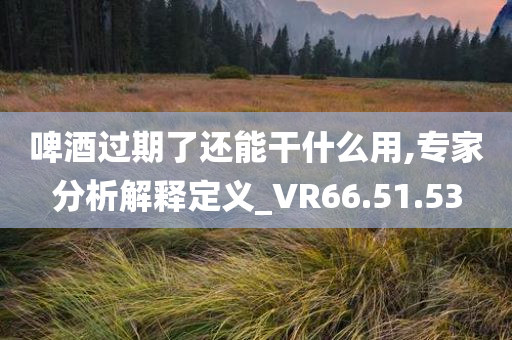 啤酒过期了还能干什么用,专家分析解释定义_VR66.51.53