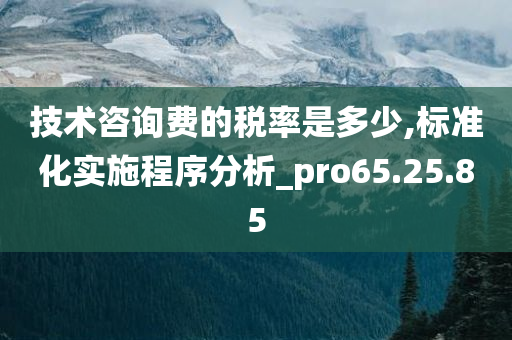 技术咨询费的税率是多少,标准化实施程序分析_pro65.25.85