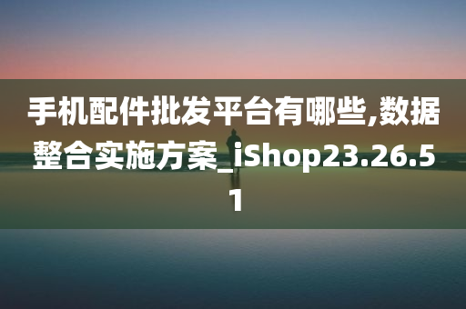 手机配件批发平台有哪些,数据整合实施方案_iShop23.26.51