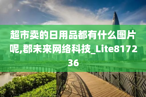 超市卖的日用品都有什么图片呢,郡未来网络科技_Lite817236