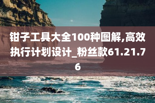 钳子工具大全100种图解,高效执行计划设计_粉丝款61.21.76