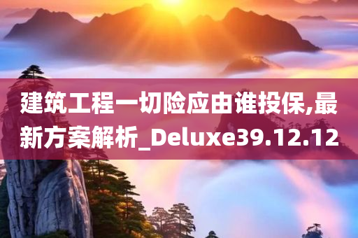 建筑工程一切险应由谁投保,最新方案解析_Deluxe39.12.12