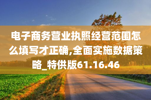 电子商务营业执照经营范围怎么填写才正确,全面实施数据策略_特供版61.16.46