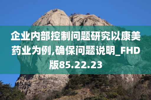 企业内部控制问题研究以康美药业为例,确保问题说明_FHD版85.22.23