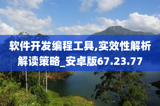 软件开发编程工具,实效性解析解读策略_安卓版67.23.77