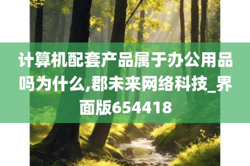 计算机配套产品属于办公用品吗为什么,郡未来网络科技_界面版654418