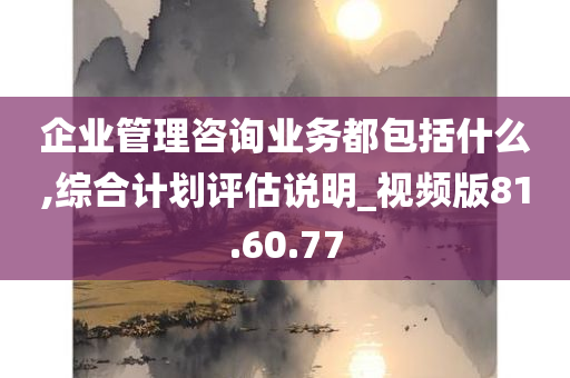 企业管理咨询业务都包括什么,综合计划评估说明_视频版81.60.77