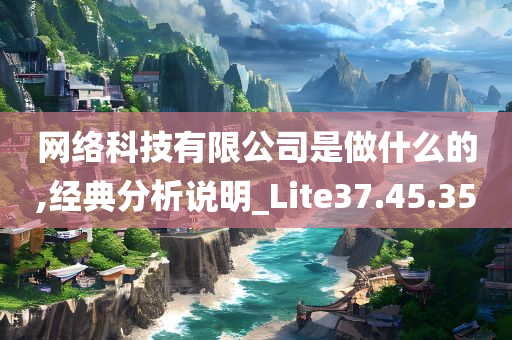 网络科技有限公司是做什么的,经典分析说明_Lite37.45.35