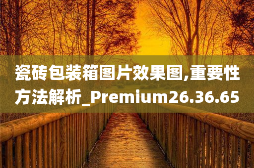 瓷砖包装箱图片效果图,重要性方法解析_Premium26.36.65