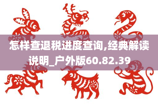 怎样查退税进度查询,经典解读说明_户外版60.82.39