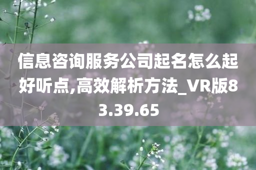 信息咨询服务公司起名怎么起好听点,高效解析方法_VR版83.39.65