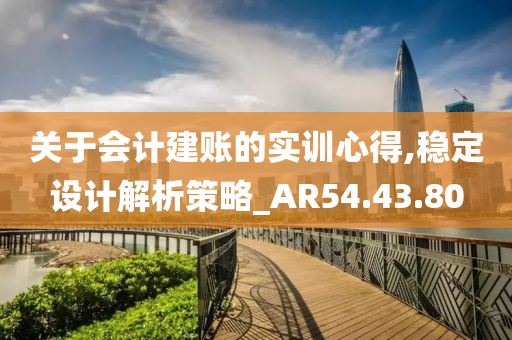 关于会计建账的实训心得,稳定设计解析策略_AR54.43.80