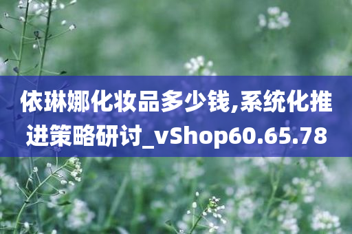 依琳娜化妆品多少钱,系统化推进策略研讨_vShop60.65.78