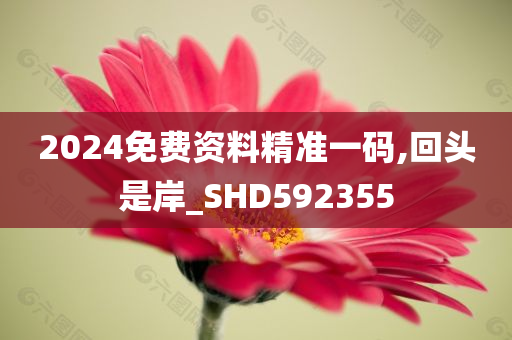 2024免费资料精准一码,回头是岸_SHD592355