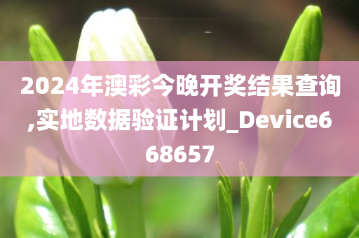 2024年澳彩今晚开奖结果查询,实地数据验证计划_Device668657