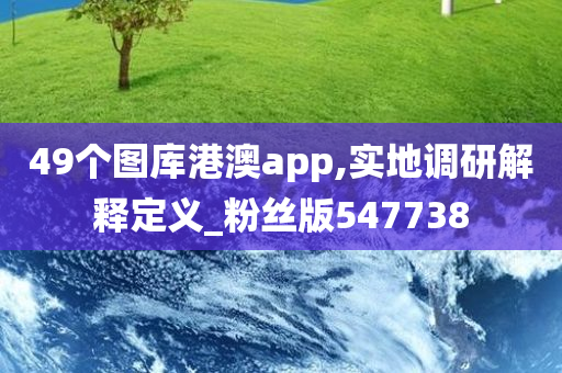 49个图库港澳app,实地调研解释定义_粉丝版547738