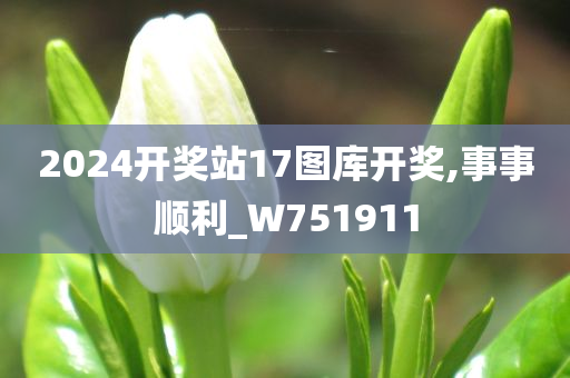 2024开奖站17图库开奖,事事顺利_W751911