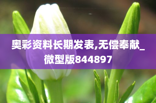 奥彩资料长期发表,无偿奉献_微型版844897