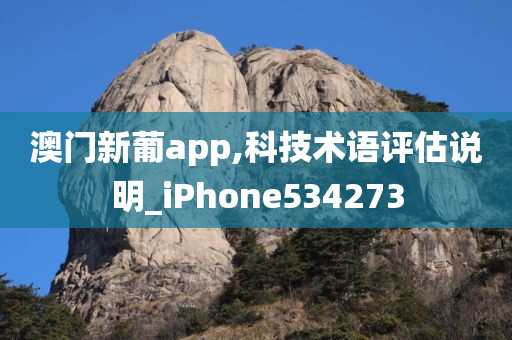 澳门新葡app,科技术语评估说明_iPhone534273