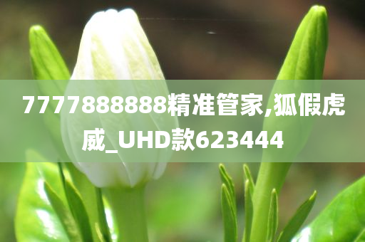 7777888888精准管家,狐假虎威_UHD款623444