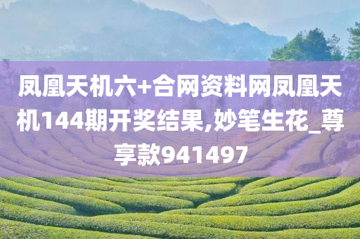 凤凰天机六+合网资料网凤凰天机144期开奖结果,妙笔生花_尊享款941497