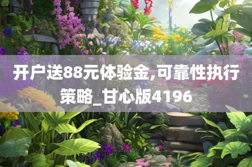 开户送88元体验金,可靠性执行策略_甘心版4196