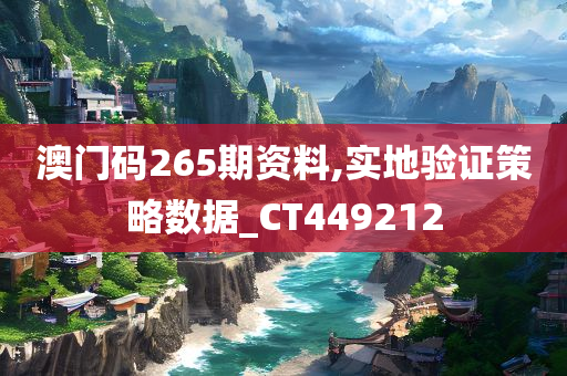 澳门码265期资料,实地验证策略数据_CT449212