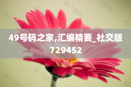 49号码之家,汇编精要_社交版729452