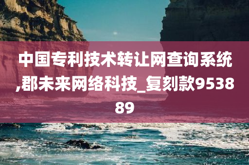 中国专利技术转让网查询系统,郡未来网络科技_复刻款953889